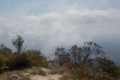 DSCN6813