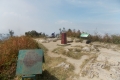DSCN6837