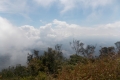 DSCN6850