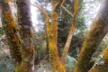 DSCN6859
