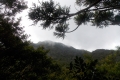 DSCN6872