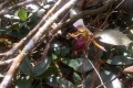 DSCN6876