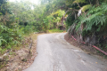 The road up Bukit Kledang (Dan Quinn, July 2024)
