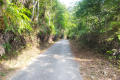 The road up Bukit Kledang (Dan Quinn, July 2024)