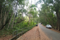 The road near the Bukit Kledang trailhead (Dan Quinn, July 2024)