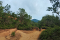 Near the start of the Bukit Kledang trail (Dan Quinn, July 2024)