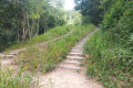 The Bukit Kledang trail (Dan Quinn, July 2024)