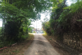 The road up Bukit Kledang (Dan Quinn, July 2024)