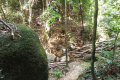 Descending via a forest trail on Bukit Kledang (Dan Quinn, July 2024)