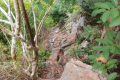 Gunung Pulai - descending (Dan Quinn, July 2024)