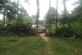 Gunung Pulai - at the trailhead (Dan Quinn, July 2024)
