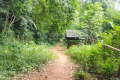 Gunung Baling -the first shelter (Dan Quinn, July 2024)