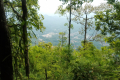 Gunung Baling - view beyond Gua Kambing (Dan Quinn, July 2024)