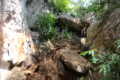 Gunung Baling - trickier section of trail (Dan Quinn, July 2024)