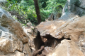 Gunung Baling - trickier section of trail (Dan Quinn, July 2024)