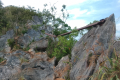 Gunung Baling - on the ridge (Dan Quinn, July 2024)