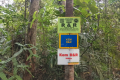 Gunung Rajah - at Kem R&R (Dan Quinn, August 2024)