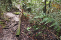 Gunung Rajah - one of several colonial-era pipies on the trail (Dan Quinn, August 2024)