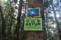 Gunung Rajah - at Kem Asyur (Dan Quinn, August 2024)