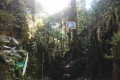 Gunung Rajah - False Peak (Dan Quinn, August 2024)