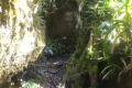 Gunung Rajah - boulders near False Peak (Dan Quinn, August 2024)