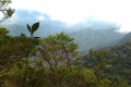 Gunung Rajah - views from the summit ridge (Dan Quinn, August 2024)