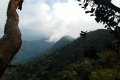 Gunung Rajah - views from the summit ridge (Dan Quinn, August 2024)
