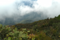 Gunung Rajah - views from the summit (Dan Quinn, August 2024)