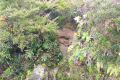 Gunung Rajah - at the summit (Dan Quinn, August 2024)
