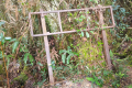 Gunung Rajah - at the summit (Dan Quinn, August 2024)