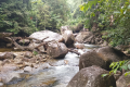 Gunung Rajah - the river at Kem BMW (Dan Quinn, August 2024)