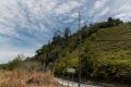 DSCN6945