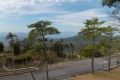 DSCN6983