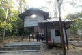 DSCN6528
