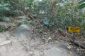 DSCN6535
