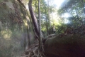 DSCN6543
