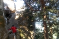 DSCN6549