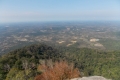 DSCN6573