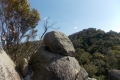 DSCN6595