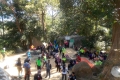 DSCN6608