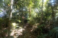 DSCN6611
