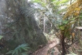 DSCN6628