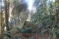 DSCN6629