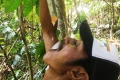 Gunung-Sabatai-Jungle-survival-–-water-from-rattan-vine-Nick-Hughes-September-2019