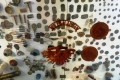 Gunung-Sabatai-Relics-from-WWII-Nick-Hughes-September-2019
