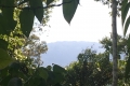 Gunung-Sabatai-the-high-point-on-a-range-Nick-Hughes-September-2019
