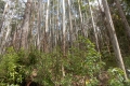 DSCN1261