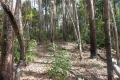 DSCN1262