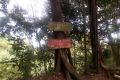 DSCN0154