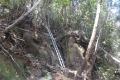 DSCN0157